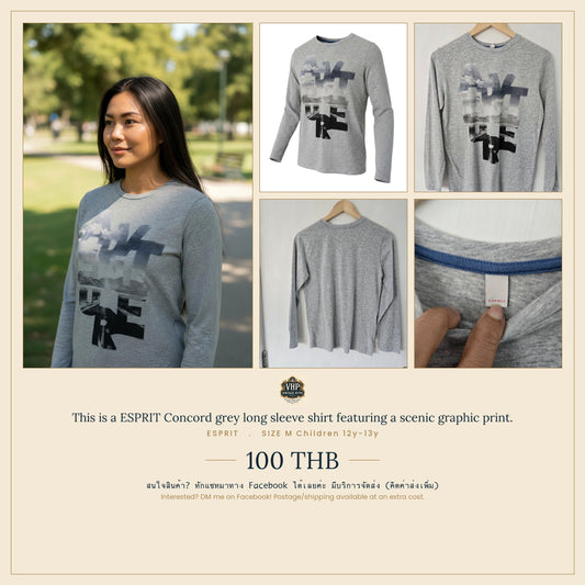 Grey Long-Sleeve Graphic Top — Scenic Print — Esprit Concord